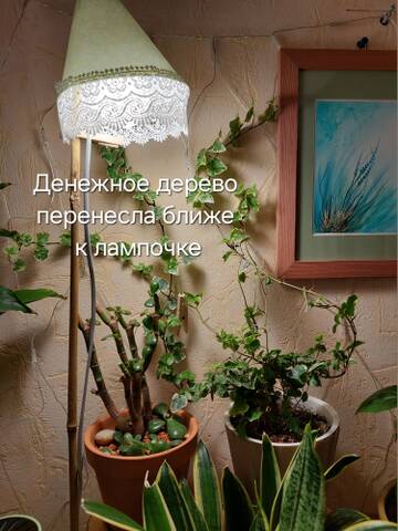 https://forumstatic.ru//uploads/0019/3a/78/212/t894986.jpg
