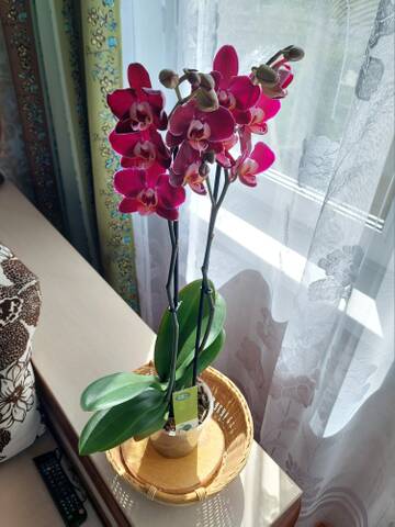 https://forumstatic.ru//uploads/0019/3a/78/212/t89634.jpg