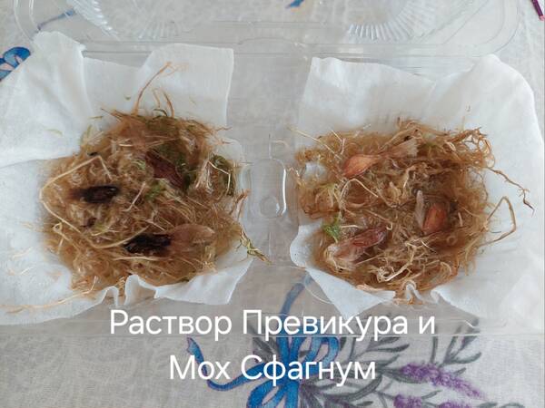 https://forumstatic.ru//uploads/0019/3a/78/212/t898435.jpg