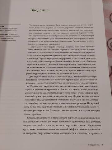 https://forumstatic.ru//uploads/0019/3a/78/212/t938198.jpg
