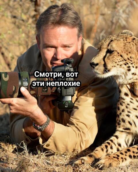 https://forumstatic.ru//uploads/0019/3a/78/253/t265169.jpg