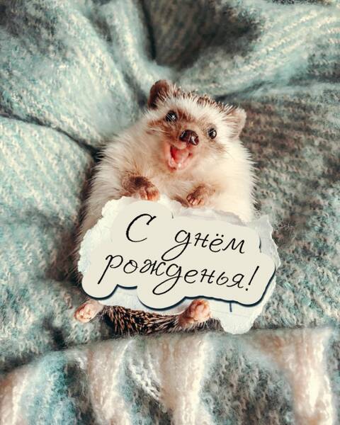 https://forumstatic.ru//uploads/0019/3a/78/253/t368055.jpg