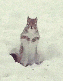 https://forumstatic.ru//uploads/0019/3a/78/253/t467390.gif