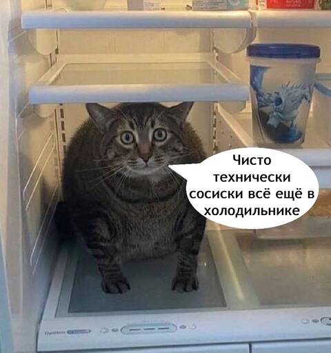 https://forumstatic.ru//uploads/0019/3a/78/253/t568025.jpg