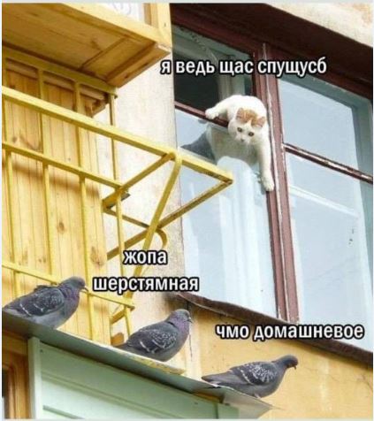 https://forumstatic.ru//uploads/0019/3a/78/253/t608607.jpg