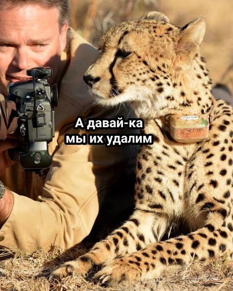 https://forumstatic.ru//uploads/0019/3a/78/253/t648568.jpg