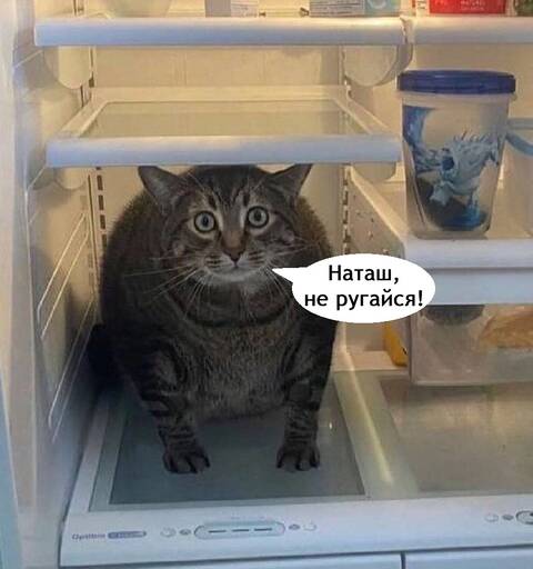 https://forumstatic.ru//uploads/0019/3a/78/253/t833346.jpg