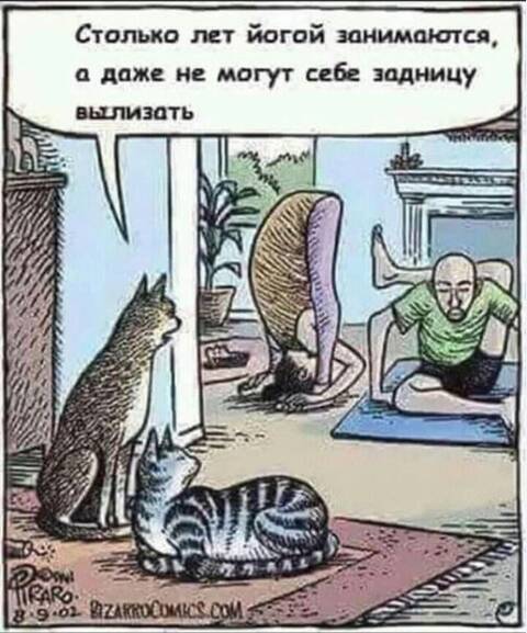 https://forumstatic.ru//uploads/0019/3a/78/253/t85258.jpg