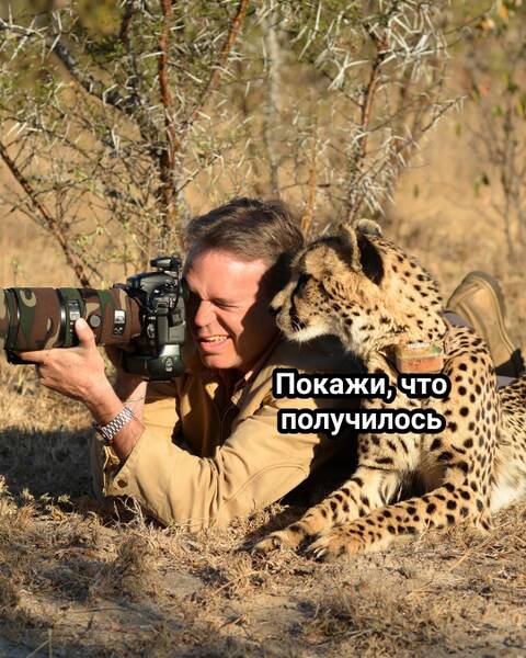 https://forumstatic.ru//uploads/0019/3a/78/253/t957406.jpg