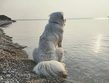 https://forumstatic.ru//uploads/0019/3a/78/29/t194287.jpg