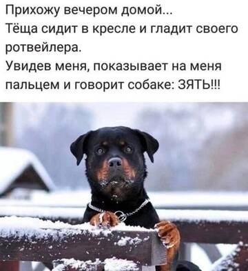 https://forumstatic.ru//uploads/0019/3a/78/4/t660312.jpg