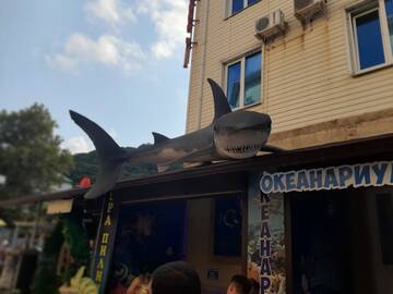 https://forumstatic.ru//uploads/0019/3a/78/4/t734812.jpg