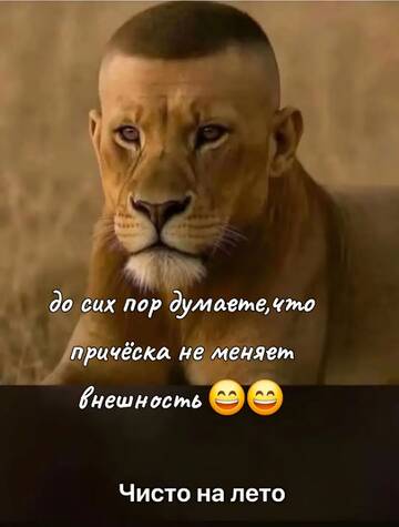 https://forumstatic.ru//uploads/0019/3a/78/6/t487124.jpg