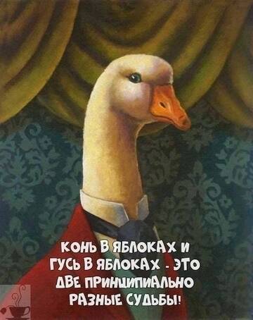 https://forumstatic.ru//uploads/0019/3a/78/6/t953041.jpg
