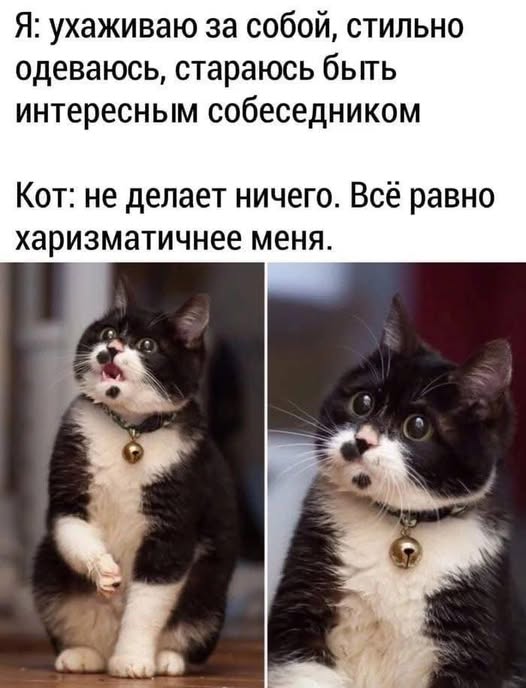 https://forumstatic.ru//uploads/0019/3a/78/74/t998417.jpg
