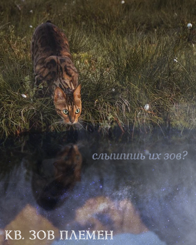 https://forumstatic.ru//uploads/001a/0f/73/2/67105.png