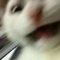 https://forumstatic.ru//uploads/001b/0f/31/2/505858.png