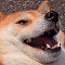 https://forumstatic.ru//uploads/001b/0f/31/2/578555.gif