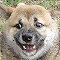 https://forumstatic.ru//uploads/001b/0f/31/2/890789.gif