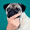 https://forumstatic.ru//uploads/001b/0f/31/2/947293.gif