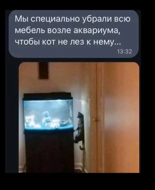 https://forumstatic.ru//uploads/001b/2e/23/66/t671557.jpg