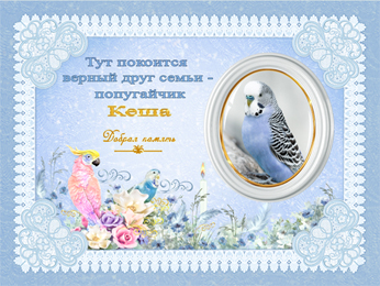https://forumstatic.ru//uploads/001b/2e/23/8/256553.jpg