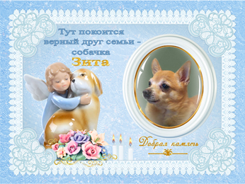 https://forumstatic.ru//uploads/001b/2e/23/8/606782.jpg