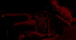 https://forumstatic.ru//uploads/001b/67/7a/20/364186.gif