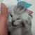 https://forumstatic.ru//uploads/001c/25/14/2/334633.gif
