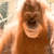 https://forumstatic.ru//uploads/001c/25/14/2/393538.gif