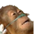 https://forumstatic.ru//uploads/001c/25/14/2/448349.png