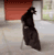 https://forumstatic.ru//uploads/001c/25/14/2/45884.gif