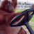 https://forumstatic.ru//uploads/001c/25/14/2/508794.gif
