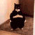 https://forumstatic.ru//uploads/001c/25/14/2/920940.gif