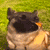 https://forumstatic.ru//uploads/001c/25/14/2/938106.gif
