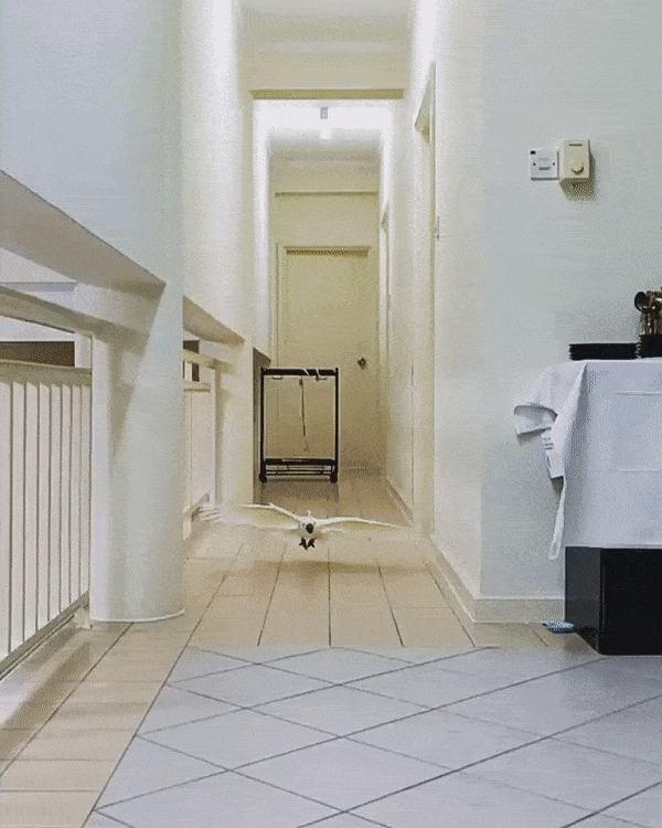https://forumstatic.ru//uploads/001c/25/14/20/32496.gif