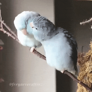 https://forumstatic.ru//uploads/001c/25/14/20/465520.gif