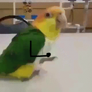 https://forumstatic.ru//uploads/001c/25/14/20/903488.gif