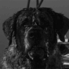 https://forumstatic.ru//uploads/001c/2a/d4/73/95926.gif