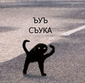 https://forumstatic.ru//uploads/001c/2a/d4/8/555929.png