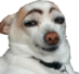 https://forumstatic.ru//uploads/001c/2a/d4/8/716637.png