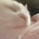 https://forumstatic.ru//uploads/001c/2a/d4/8/98498.gif