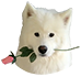 https://forumstatic.ru//uploads/001c/36/d0/5/711861.png