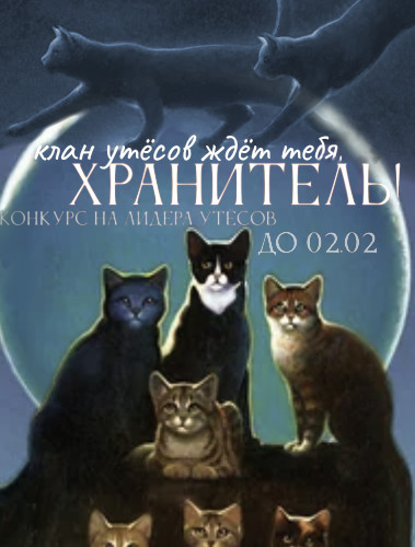 https://forumstatic.ru//uploads/001c/3f/53/5/511062.png