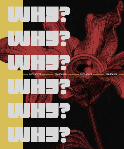 https://forumstatic.ru//uploads/001c/61/20/17/194430.png
