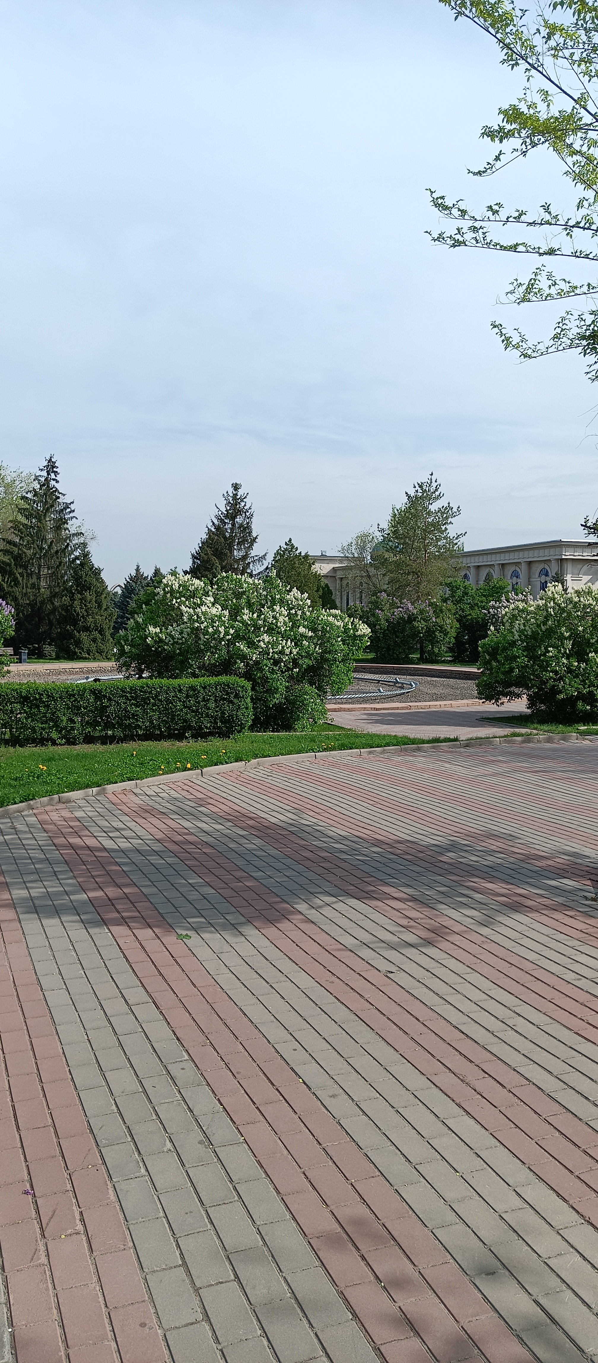 https://forumstatic.ru//uploads/001c/76/31/3/10480.jpg