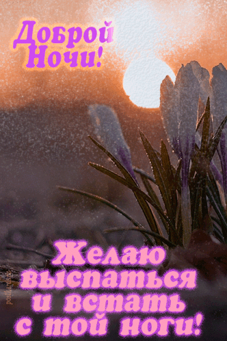 https://forumstatic.ru//uploads/001c/76/31/3/156852.gif