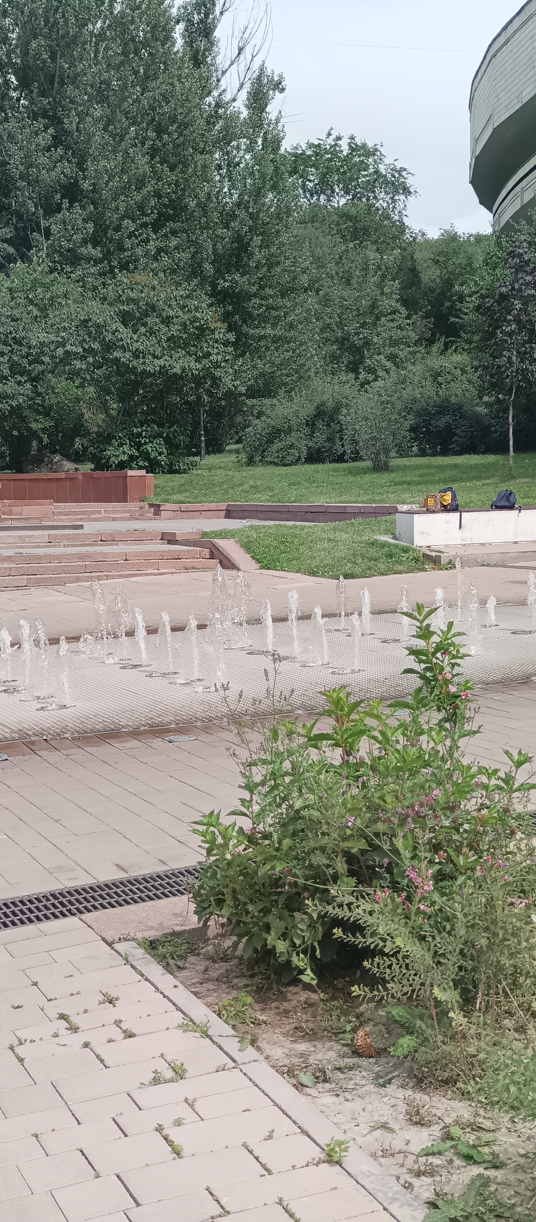 https://forumstatic.ru//uploads/001c/76/31/3/170222.jpg