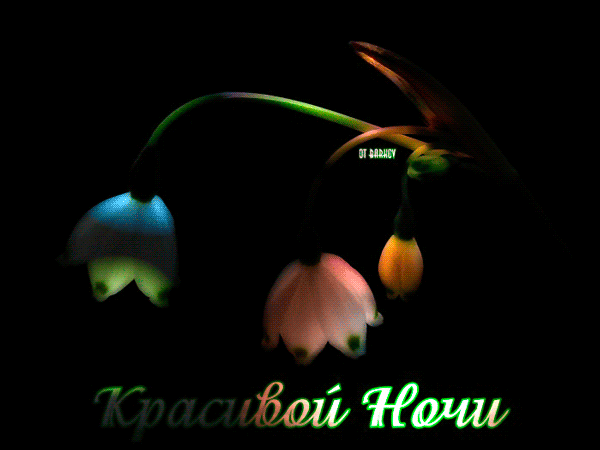 https://forumstatic.ru//uploads/001c/76/31/3/303614.gif