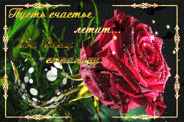 https://forumstatic.ru//uploads/001c/76/31/3/380366.gif